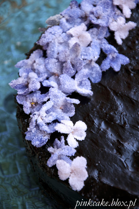 tort z fiołkami, violets cake, viola odorata cake, crystalized violas