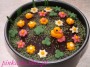 marcepanowe kwiatki, trocheinnacukiernia.home.blog, trochę inna cukiernia, ciasta bez jajek, ciasta bez mleka