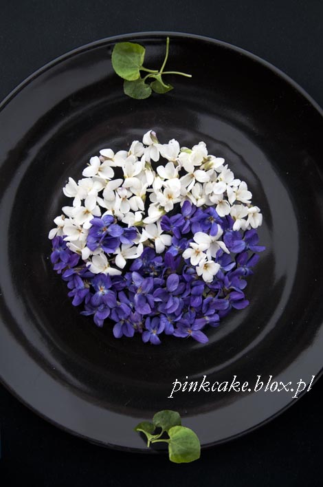 fiołkowa mandala, violets mandala, mandala z fiołków, volet Ying Yang