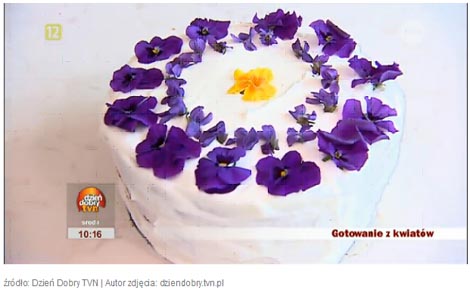 tort fiołkowy, tort z fiołkami, violets cake, viola odorata cake