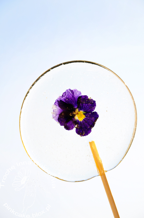 fiołkowe lizaki, violets lollipops, lizaki z kwiatkiem, lizak z fiołkami