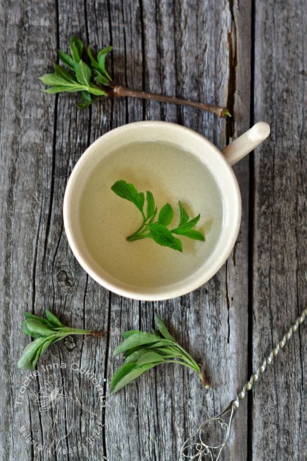 elderberry leaves tea, sambucus antiviral tea, herbata przeciwiwrusowa, herbata z liści czarnego bzu, herbata z dzikiego bzu