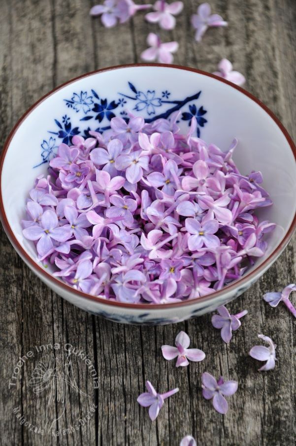 lilac flower edible, lilac infused cream
